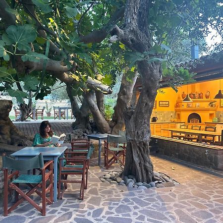 Villa Daphnis & Chloe Pyrgi Thermis Екстериор снимка